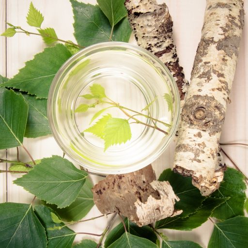 What is birch water and how does it work on our body?