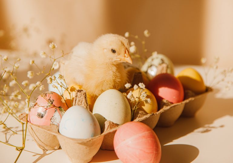 Easter in the light version - we suggest what is safe for your waistline on the Easter table