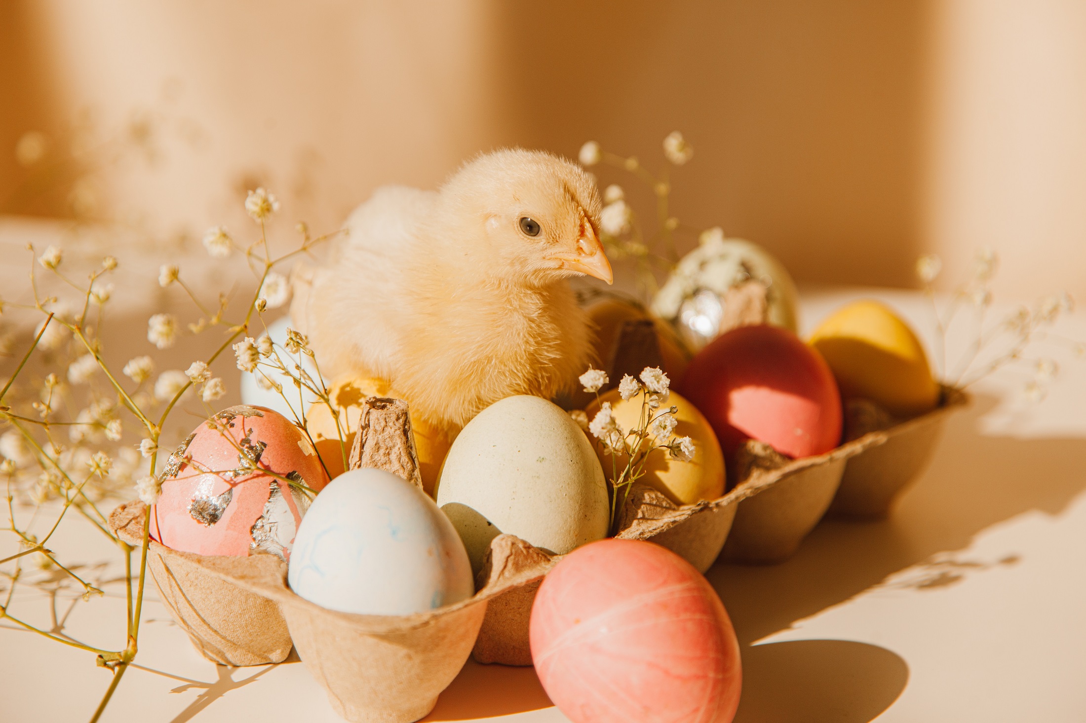 Easter in the light version – we suggest what is safe for your waistline on the Easter table