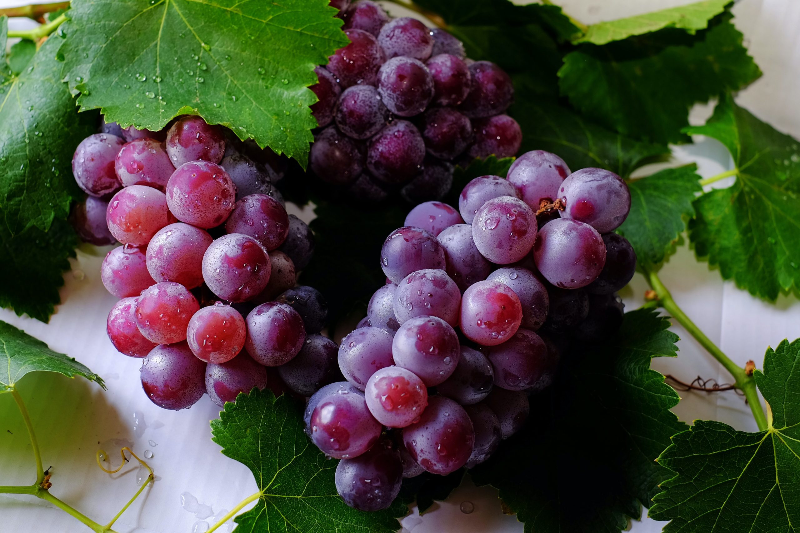 Grapes for beauty. We tell you how you can use them to make your own beauty products