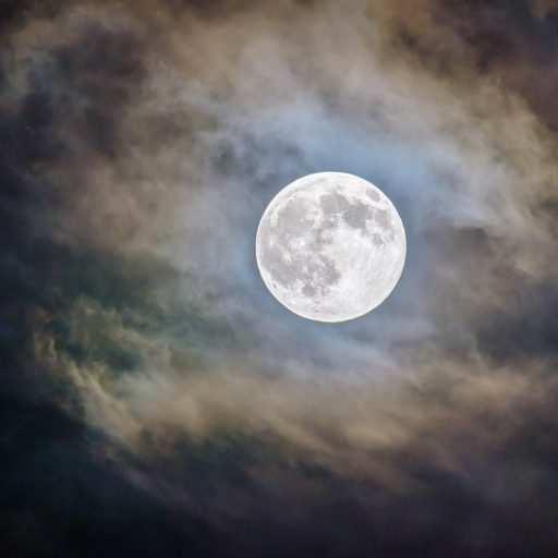 What is moon water and why is everyone obsessed with it?